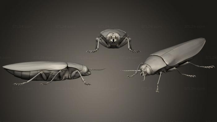 Насекомые (Жуки-насекомые 114, INSCT_0059) 3D модель для ЧПУ станка